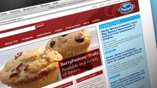 Ocean Spray Web Site Design