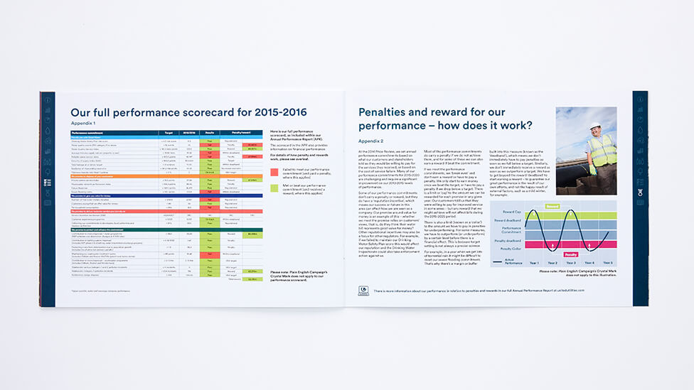 Annual performance report