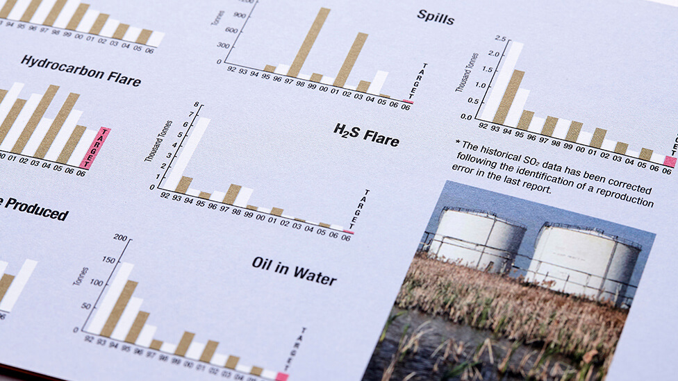 Environmental report design