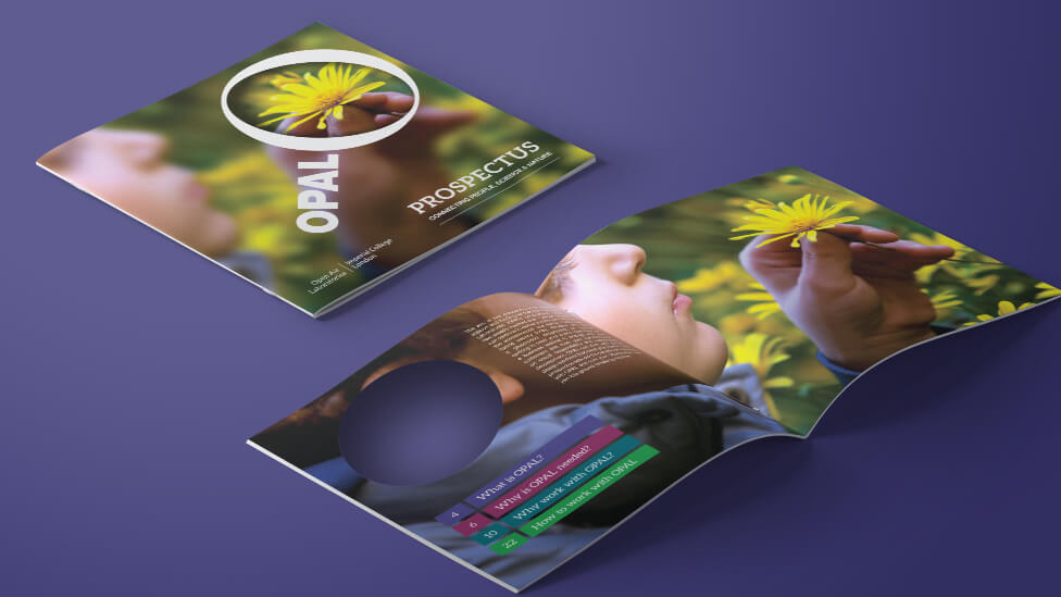 benefits of brochure design