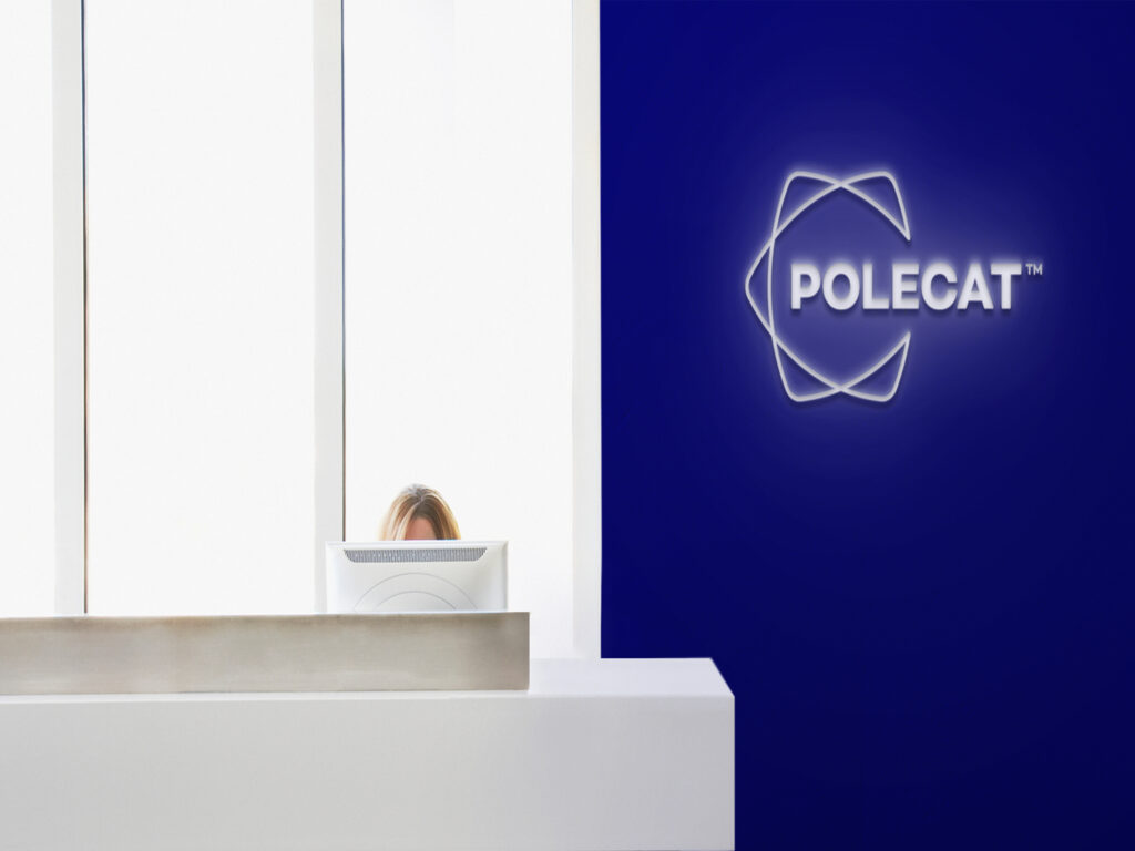 Branding Development