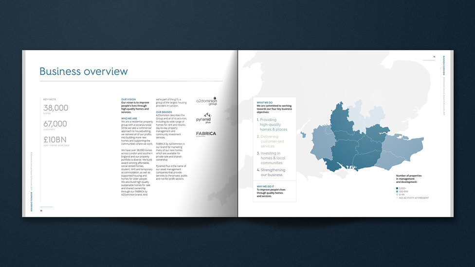 Company annual report