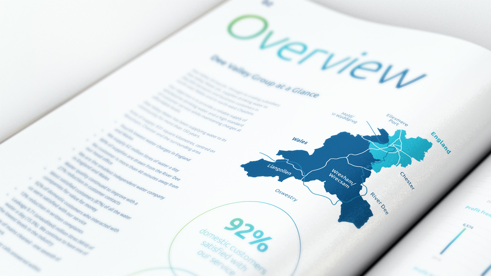 Company annual report design