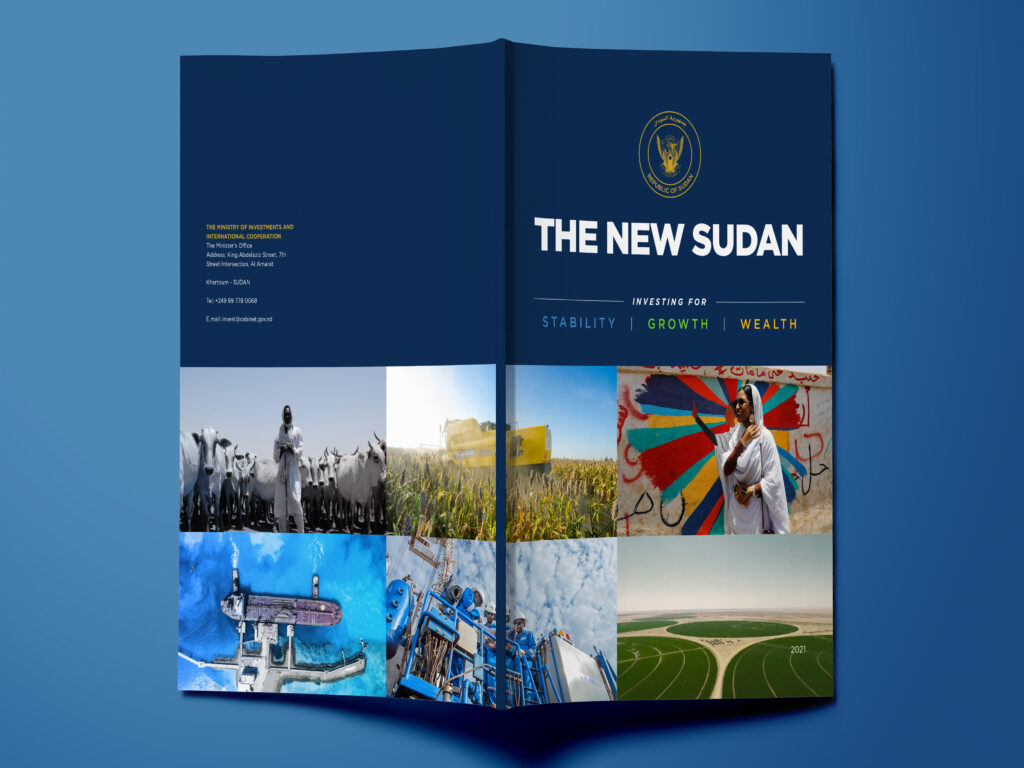investment prospectus design