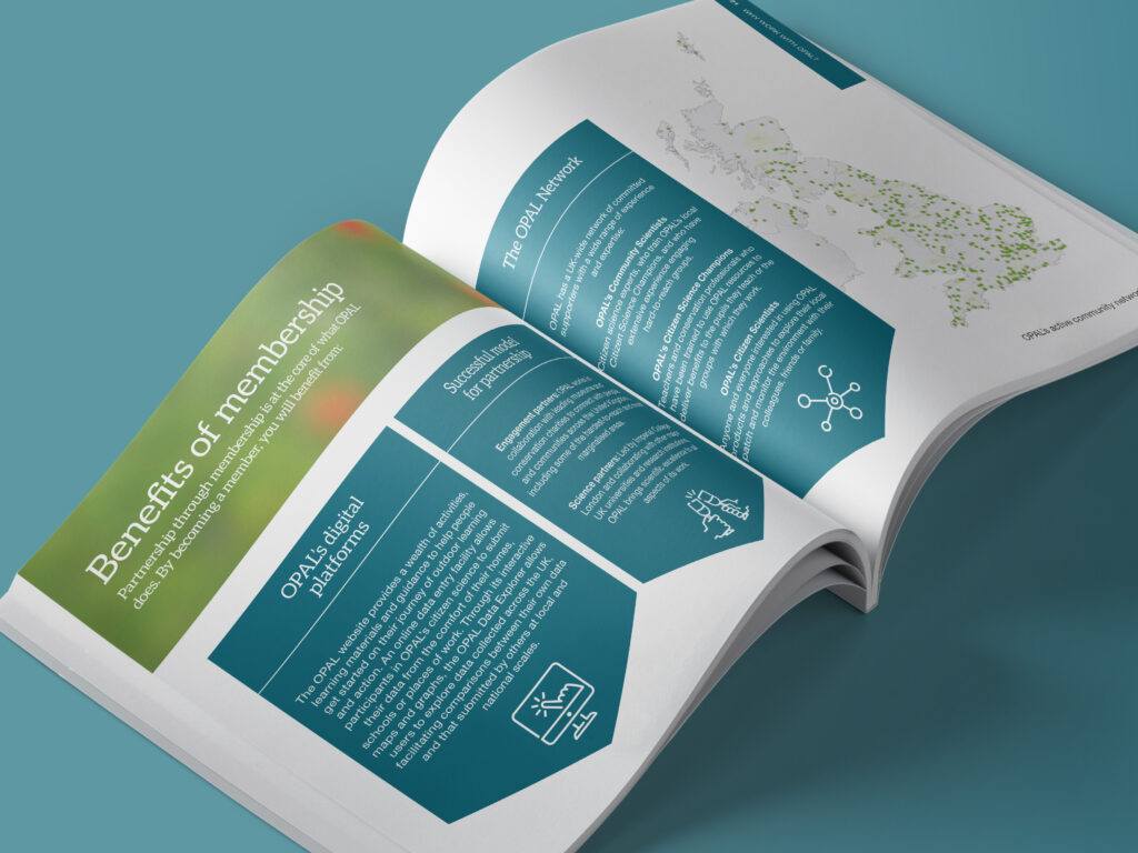 Programme Prospectus Design – London, Manchester, UK