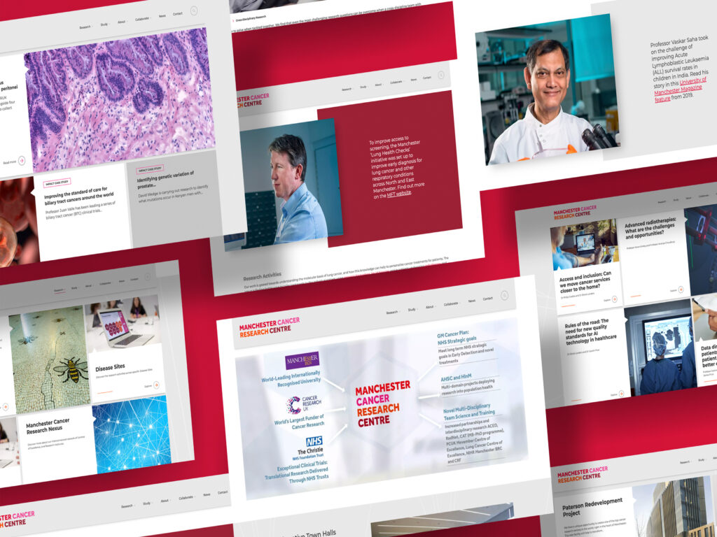 Website Redesign